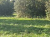 Terrain à bâtir à Uzès (30700) 2088755-7199annonce12025022482vbq.jpeg Les Toits de France