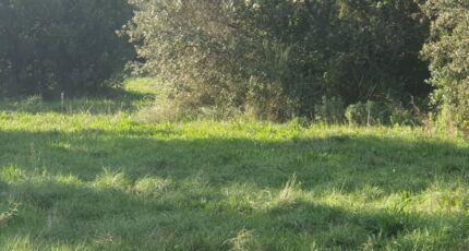 Uzès Terrain à bâtir - 2088755-7199annonce12025022482vbq.jpeg Les Toits de France