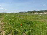 Maison à construire à Garons (30128) 2117780-7199annonce120250224Z1lJx.jpeg Les Toits de France