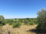 Terrain à bâtir à Souvignargues (30250) 2126768-7199annonce120250407nET66.jpeg Les Toits de France