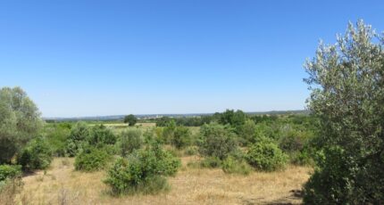 Souvignargues Maison neuve - 2126771-7199annonce120250407nET66.jpeg Les Toits de France