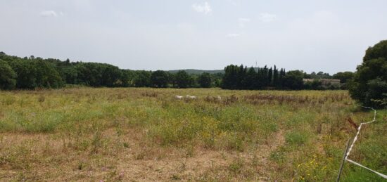 Terrain à bâtir à Montagnac, Occitanie