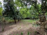 Maison à construire à Vers-Pont-du-Gard (30210) 2135846-7199annonce120250418Qo1Tx.jpeg Les Toits de France