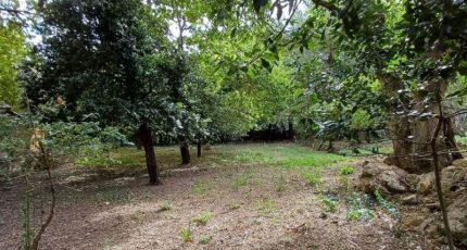 Vers-Pont-du-Gard Maison neuve - 2135846-7199annonce120250418Qo1Tx.jpeg Les Toits de France