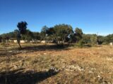 Terrain à bâtir à Poulx (30320) 2112875-7199annonce2202503209J5AV.jpeg Les Toits de France