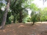 Maison à construire à Vergèze (30310) 2116259-7199annonce120250207oNLkC.jpeg Les Toits de France