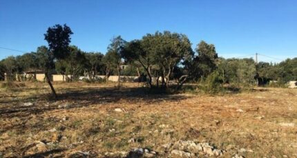 Poulx Maison neuve - 2112885-7199annonce2202503209J5AV.jpeg Les Toits de France