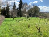 Maison à construire à La Rouvière (30190) 2116726-7199annonce1202503276DNXU.jpeg Les Toits de France