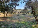 Maison à construire à Uzès (30700) 2150136-7199annonce120250430zVPrd.jpeg Les Toits de France