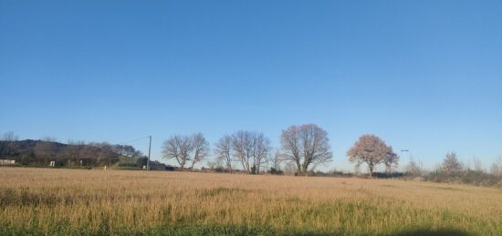 Terrain à bâtir à Ribaute-les-Tavernes, Occitanie