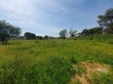 Maison à construire à Saint-Geniès-de-Malgoirès (30190) 2180501-7199annonce120250605mBA8c.jpeg Les Toits de France