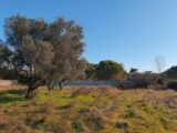 Maison à construire à Redessan (30129) 2193253-7199annonce120250616RfSEC.jpeg Les Toits de France