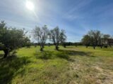 Maison à construire à Uzès (30700) 2212484-7199annonce120250703pDXwz.jpeg Les Toits de France