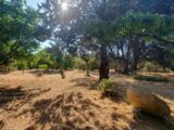 Maison à construire à Uzès (30700) 2214113-7199annonce120250704QMU1k.jpeg Les Toits de France