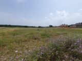 Maison à construire à Montagnac (30350) 2241395-7199annonce120250806covsi.jpeg Les Toits de France