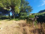 Maison à construire à Milhaud (30540) 2265564-7199annonce120250909nrHPK.jpeg Les Toits de France
