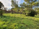 Terrain à bâtir à Nîmes (30900) 2289400-7199annonce220251001ZZ8n9.jpeg Les Toits de France