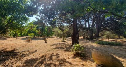 Saint-Siffret Maison neuve - 2220452-7199annonce120250710qHbcr.jpeg Les Toits de France