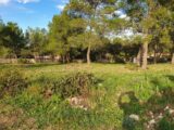 Terrain à bâtir à Nages-et-Solorgues (30114) 2295175-7199annonce120251006Ul6VN.jpeg Les Toits de France