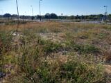 Maison à construire à Laudun-L’ardoise (30290) 2315092-7199annonce120251023BSrAQ.jpeg Les Toits de France