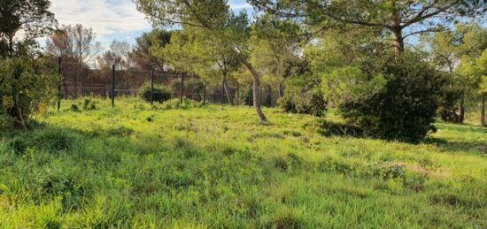 Terrain à bâtir à , Gard