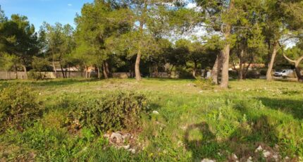 Nîmes Maison neuve - 2289463-7199annonce120251001vF9rl.jpeg Les Toits de France