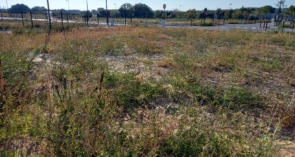 Laudun-l'Ardoise Maison neuve - 2315092-7199annonce120251023BSrAQ.jpeg Les Toits de France