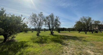 Saint-Quentin-la-Poterie Terrain à bâtir - 2314941-7199annonce120251023TTBsX.jpeg Les Toits de France