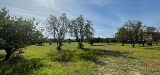 Terrain à bâtir à Saint-Quentin-la-Poterie, Occitanie