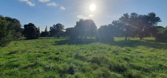 Terrain à bâtir à Saint-Siffret, Occitanie