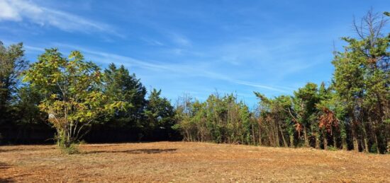 Terrain à bâtir à Saint-Privat-des-Vieux, Occitanie