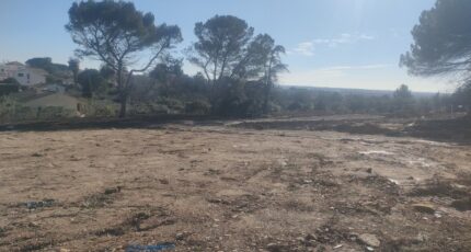 Mus Maison neuve - 2289537-7199annonce1202510010QuDd.jpeg Les Toits de France