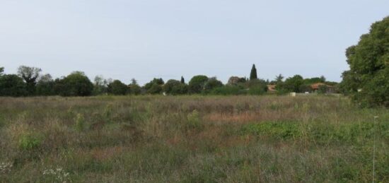 Terrain à bâtir à Garrigues-Sainte-Eulalie, Occitanie