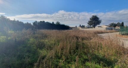 Manduel Maison neuve - 2393032-7199annonce120260114FtHk7.jpeg Les Toits de France