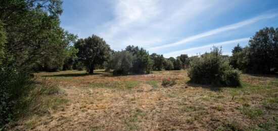 Terrain à bâtir à Saint-Siffret, Occitanie