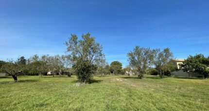 Uzès Maison neuve - 2398704-7199annonce120260120ZflyC.jpeg Les Toits de France