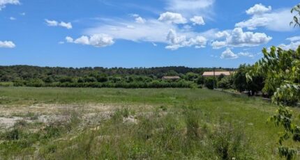 Castries Maison neuve - 2371019-7199annonce1202512173m5XC.jpeg Les Toits de France