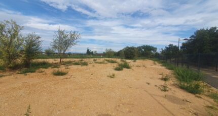 Laudun-l'Ardoise Maison neuve - 2424798-7199annonce120260211ZBk7G.jpeg Les Toits de France