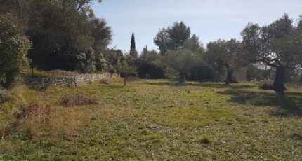 Salinelles Terrain à bâtir - 2402058-7199annonce1202601226AoZZ.jpeg Les Toits de France