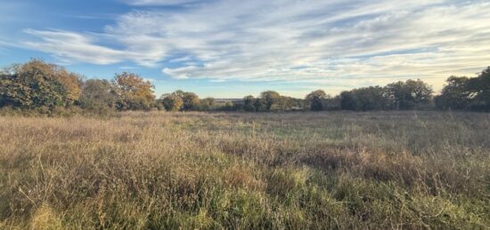 Terrain à bâtir à Garrigues-Sainte-Eulalie, Occitanie