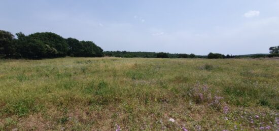 Terrain à bâtir à Montagnac, Occitanie