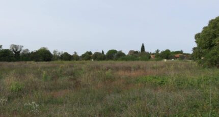 Saint-Chaptes Maison neuve - 2668569-7199annonce1202610084Es3h.jpeg Les Toits de France
